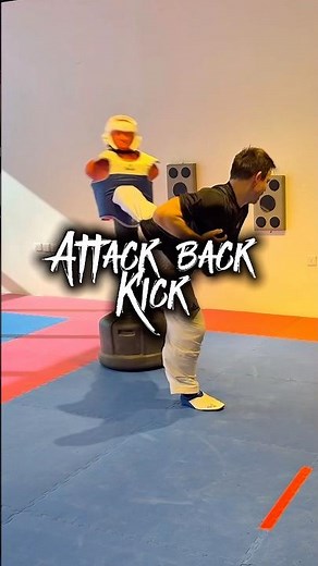 Attack Back Kick Breakdown 🥋⚡