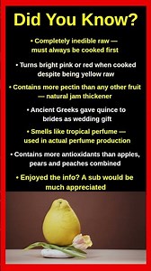Shocking Facts About Quince That Will Blow Your Mind 🍋😱