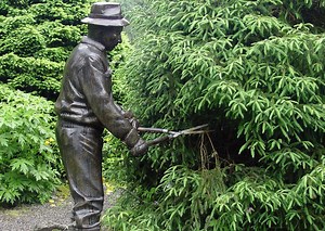 Yard looking overgrown? Time is winding down to cut it back