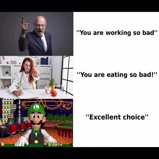 Excellent Choice Luigi from Nintendo
