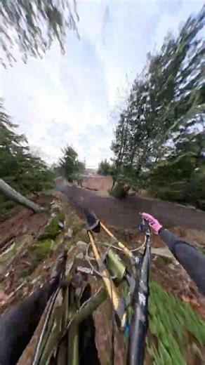 Brutus With GoPro Max 2!!! #freeridemtb #mtb #downhillmountainbiking #downhill