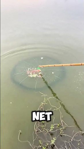 Incredible! How the Drop Net Works 🎣✨ #shorts