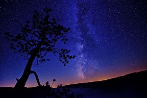 Stargazing | Visit Potter-Tioga Pennsylvania