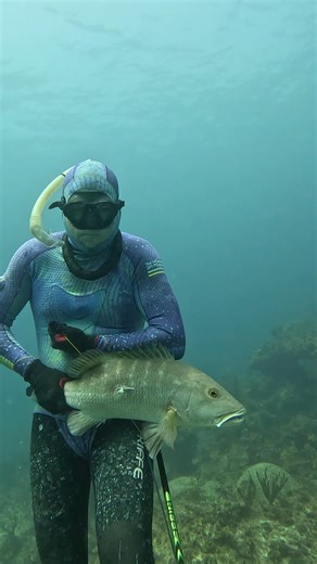 Spearfishing Cubera Snapper | Ryan Myers