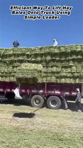 Efficient Way To Lift Hay Bales Onto Truck Using Simple Loader 1