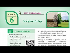 6.principles of Ecology (book back answers)12th std/Bio-botany