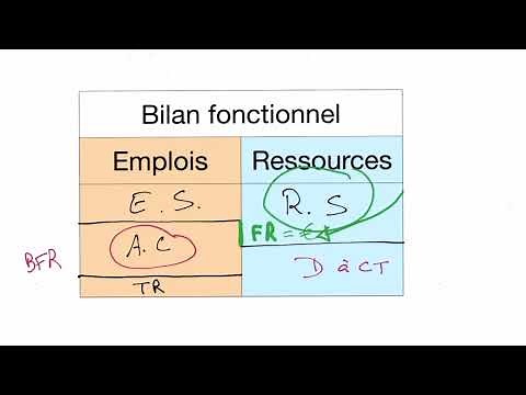 Tout savoir sur le bilan fonctionnel et le bilan financier