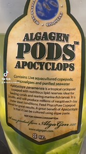 Bottom dwelling and free swimming copepods combo starter pack for seeding your marine tank, culture in refugium, served as cleaning crews to eat detritus, fish waste, served as food for fish especially mandarin dragonets! Available online at www.freshnmarine.com and walk-in store #freshnmarine #algagen #copepod #sgaquatics #sgaquarium #aquariumhobby #aquariumtok #aquarium #aquatic #aquaticsupplies #sgreefclub #sgreefsupplies #fyp #fypシ #sgreefers | Fresh N Marine | Facebook