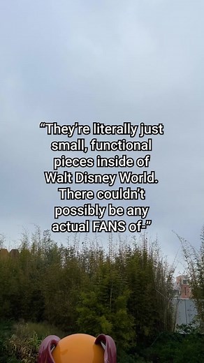 Disney Trash Can Fan Cam Compilation