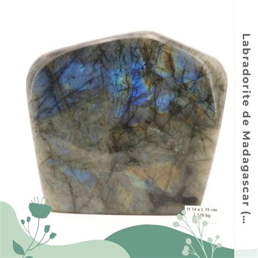 Équilibre et connexion intérieure, une richesse essentielle. Découvrez notre Labradorite de Madagascar pesant 2.149 kg, une pierre naturelle réputée pour ses vertus en lithothérapie. Dotée de reflets éclatants et d'une texture unique, elle favorise la protection et l'harmonie. Que ce soit pour sublimer votre espace ou enrichir vos pratiques spirituelles, cette pierre s'intègre parfaitement à votre vie quotidienne, apportant calme et confiance. Ne laissez pas cette beauté vous filer entre les doi