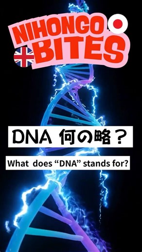 🎌 🧬「DNA」何の略？ Deoxyribonucleic Acid #にほんごひとくち #NihongoBites #豆知識 #英語学習 #DNA