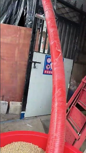 Flexible screw conveyor for feed #feed #flexiblescrewconveyor