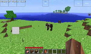 Minecraft Alpha 1.1.0