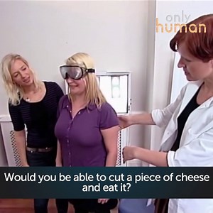 Ever wondered what would happen if you ate nothing but junk? | Only Human