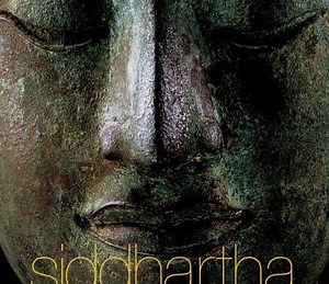 Siddhartha Summary, Trailer, Cast, Where to Watch and More