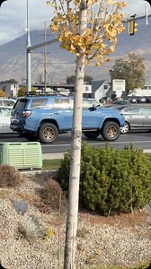 47K views · 992 reactions | Which one are you picking? Quicksand or Cavalry Blue? And what Rims are you going to run with it? Both Quiksand and Cavalry Blue are somewhat rare and coveted colors for the 5th Gen 4Runner because of how exclusive they were and how few were produced. They can be hard to find on the used market, and sometimes rare to spot in the wild. What do you think the rarest TRD PRO Color is? | 4Runner Lifestyle | Facebook