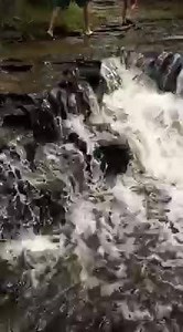 70 reactions · 20 shares | One of the falls at beautiful Ocqueoc Falls in Northern Lower Michigan being enjoyed by all! www.michiganluv.com -- Etsy: MichiganLuv #MichiganPride #MichiganProud | MichiganLuv.com | Facebook