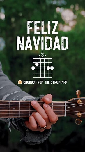 Feliz Navidad - @josefeliciano Guitar Lesson using my @zagerguitars • • • #guitar #guitarlesson #guitarlessons #guitartutorial #feliznavidad | The Groovy Guitar Dude