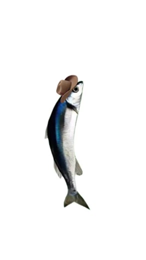 Funny Spinning Fish Encounters