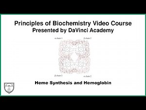 Heme Synthesis and Hemoglobin [Metabolism 21 of 21]