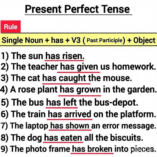 present perfect tense examples