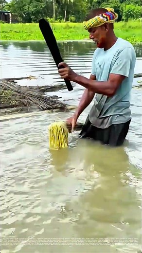 Water - Powered Fiber Extraction : How This Ancient Technique Fuels Textile Heritage