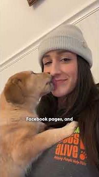 Wife Surprises Husband With 3 Foster Puppies | The Dodo
