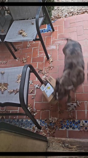 Chloe said she want her mon-yuns auntie Rica! | Camille Mott