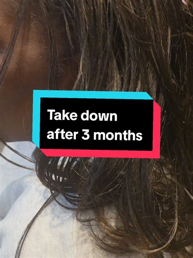 Microbraids Takedown: After 3 Months of Growth