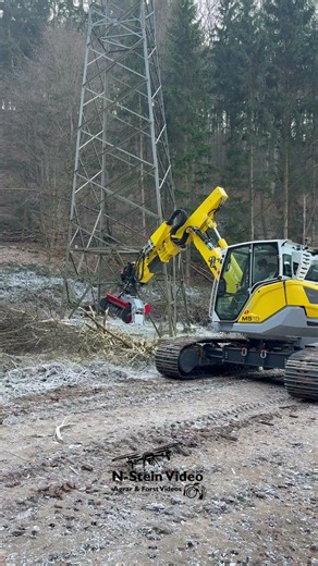 Forst Mulchen pur 💥 Menzi Master M515 mit Seppi M BMS-F 125 im Wald-Einsatz