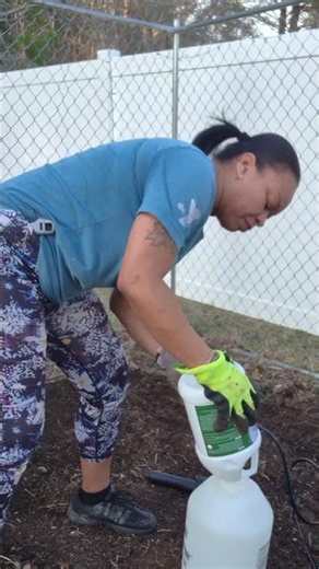 🌿🚫 Mint Takeover! But Here's How to Remove It 😉 #garden #gardening #mint #diygardening