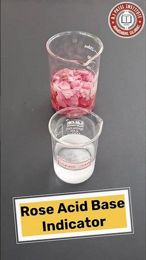 🌹 Rose Water Acid-Base Test 🔬 | Science Shorts #diy #experiment #chemistry