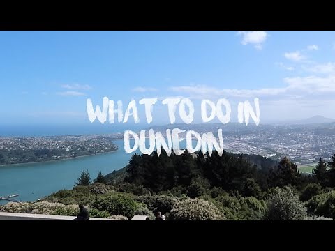 TOP THINGS TO DO IN DUNEDIN NZ