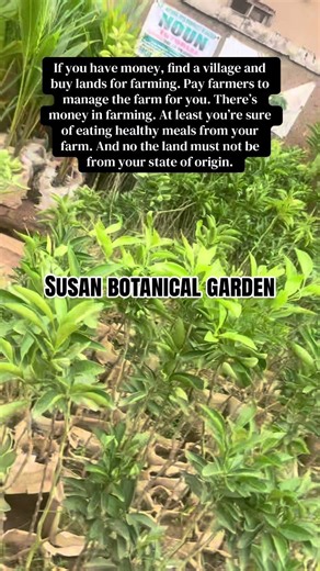 If you have money, find a village and buy lands for farming. Pay farmers to manage the farm for you. There’s money in farming. At least you’re sure of eating healthy meals from your farm. And no the land must not be from your state of origin.