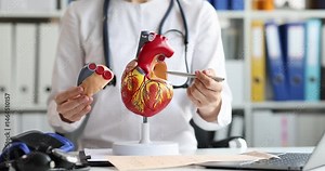 Cardiologist demonstrates anatomical heart model explaining functioning of cardiology in clinic office. Doctor shows organ structure in medical school Stock Video