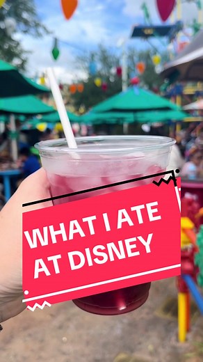 What i ate in a day at @Disney Parks #disney #disneyworld #wdw #dfb #disneyeats #disneyfood #disneyfyp #disneyparks #disneyfoodie #disneytiktok @DisneyFoodBlog