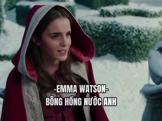 Hollywood Stars: Emma Watson & Anne Hathaway Edits