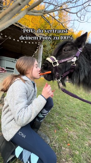 Trusting Your Pony: The Ultimate Bond