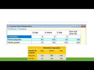 Análisis de Decisiones con Software