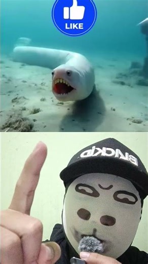 LIHAT KEHIDUPAN CACING TANAH PAKE KAMERA MINI 🐛