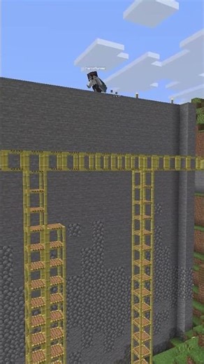 Elytra pro suffers a hard fate... #minecraft #gaming #funny #memes #minecraftmemes