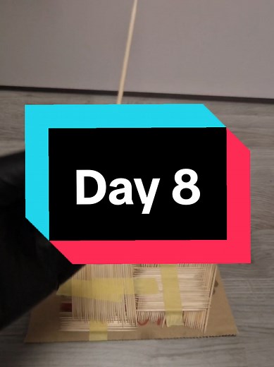 Day 8 of building a toothpick tower 🥢 #buildings #toothpick #towerofgod #fyp #viralvideos