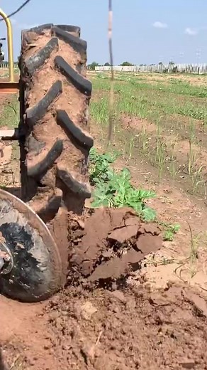 Mini-tractor machine plowing at field #facebookreel #fyp #kubotatractor #reel #reelvideo #kubota #plowing #farmequipment #foryou | Allan Wilkins