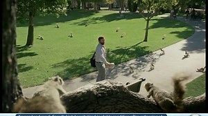 DIRECTV TV Spot, 'Attack of the Squirrels'