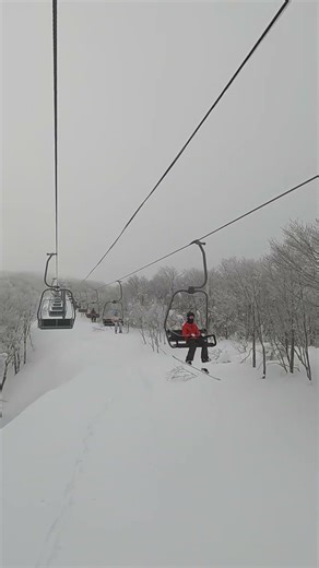 25 1 25 네코마 마운틴 12991