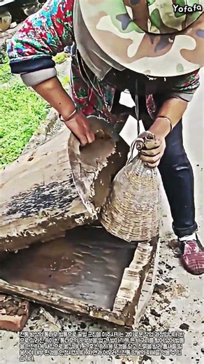 바구니와 진흙을 활용한 전통 통나무 양봉 이주 방법 #worker #process #beekeeping #loghive #honeybee