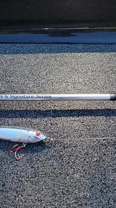 🔥The Lew's KVD Signature Series Topwater Rod 🔥 #lewsfishing #strikekinglurecompany #bassfishing Lew's Strike King Lure Company | Greg Bohannan