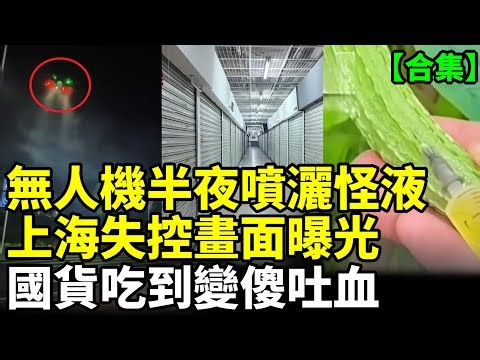 【合集】中國無人機噴灑不明液體，全國彌漫詭異臭味！上海失控2400萬人正消失！水果市場一夜崩盤，1200萬噸水果被扔！ #看大陸