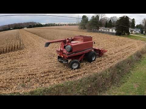 2 Old Timers - Nice Sound - Case International 1688 Axial-Flow Combine -Tuscola County Harvest 2020