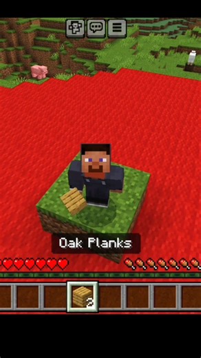 Minecraft, But i Can't Touch The Colour Red
